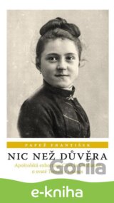 Nic než důvěra