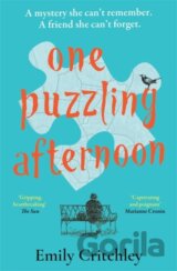 One Puzzling Afternoon