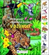 V džungli