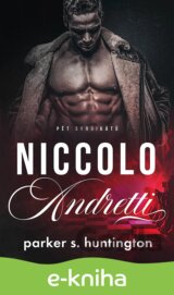 Niccolo Andretti