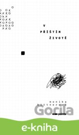 V příštím životě