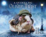 A Guinea Pig Oliver Twist