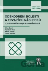 Odškodnění bolesti a trvalých následků u pracovních a nepracovních úrazů