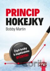 Princip hokejky