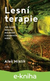 Lesní terapie