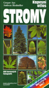 Stromy