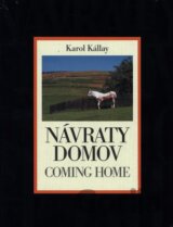 Návraty domov