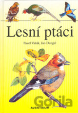 Lesní ptáci