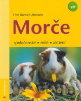 Morče