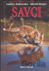Savci