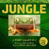 Jungle