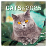 NOTIQUE Nástenný poznámkový kalendár Cats (Mačky) 2025