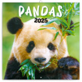 NOTIQUE Nástenný poznámkový kalendár Pandas (Pandy) 2025