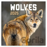NOTIQUE Nástenný poznámkový kalendár Wolves (Vlky) 2025