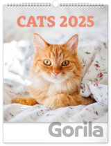 NOTIQUE Nástenný kalendár Cats (Mačky) 2025