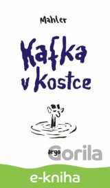 Kafka v kostce