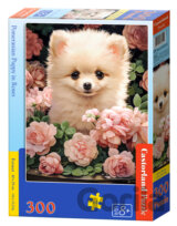 Pomeranian Puppy in Roses