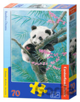 Bamboo Dreams