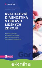 Kvalitativní diagnostika v oblasti lidských zdrojů