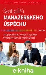 Šest pilířů manažerského úspěchu