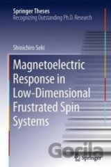 Magnetoelectric Response in Low-Dimensional Frustrated Spin Systems