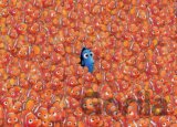 Hladá sa Nemo