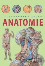 Anatomie