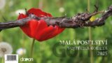 Kalendář stolní 2025 - Malá poselství Vojtěch Kodeta