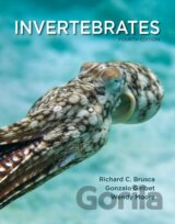 Invertebrates