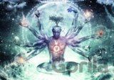 Dream in the Universe