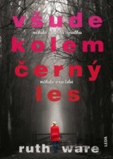 Všude kolem černý les