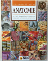 Anatomie - Ilustrovaný atlas