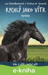 Rychlý jako vítr: Hurikán