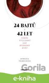 24 bajtů x 42 let