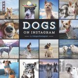 Dogs on Instagram