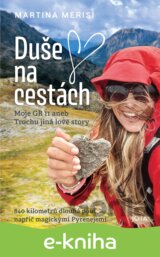 Duše na cestách