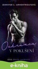 Ochránce v pokušení