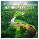 NOTIQUE Nástenný poznámkový kalendár Amazing rainforest (Dažďové pralesy) 2025