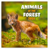 NOTIQUE Nástenný poznámkový kalendár Animals of the forest (Zvieratká z lesa) 2025 (západná verzia)