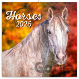 NOTIQUE Poznámkový kalendár Horses (Kone) 2025 (západná verzia)