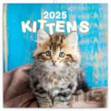 NOTIQUE Nástenný poznámkový kalendár Kittens (Mačiatka) 2025 (západná verzia)