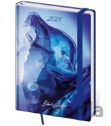 Diář 2025 Vario týdenní B6 Matragi Energy s gumičkou