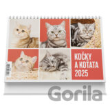 Kočky a koťata 2025 - stolní kalendář
