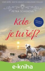 Kdo je tu šéf?