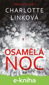 Osamělá noc