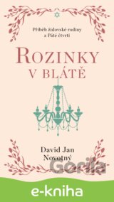 Rozinky v blátě