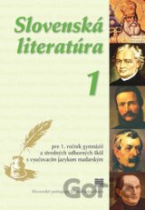 Slovenská literatúra 1 (VJM)
