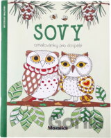 Sovy : omalovánky pro dospělé