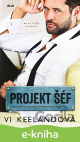 Projekt šéf