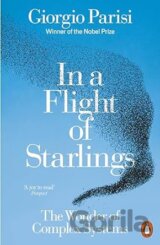 In a Flight of Starlings